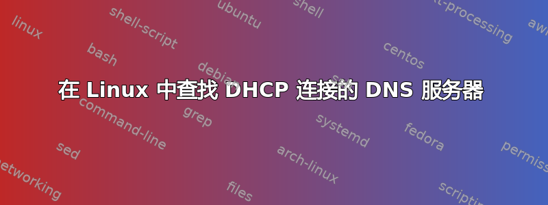 在 Linux 中查找 DHCP 连接的 DNS 服务器