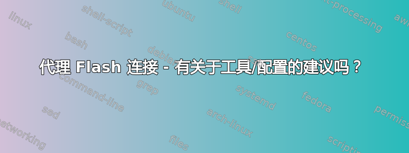 代理 Flash 连接 - 有关于工具/配置的建议吗？