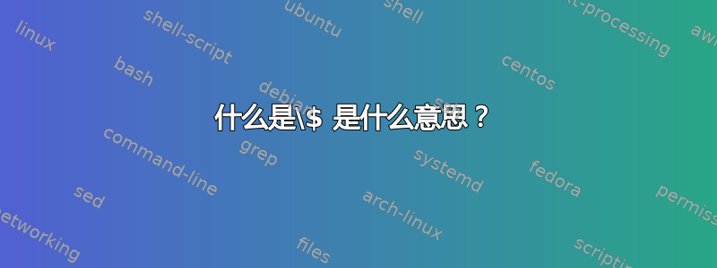 什么是\$ 是什么意思？