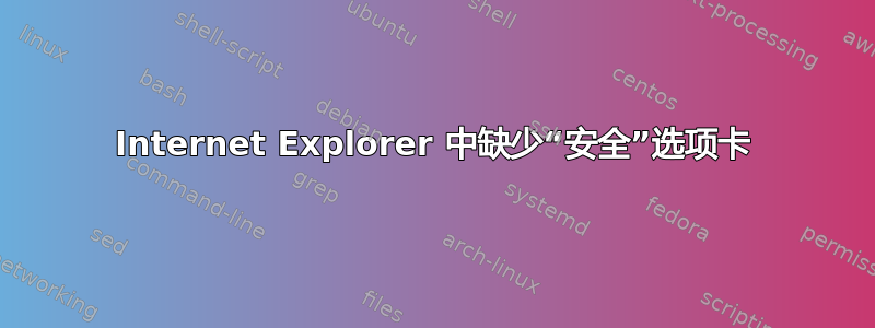 Internet Explorer 中缺少“安全”选项卡