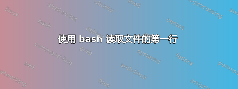 使用 bash 读取文件的第一行