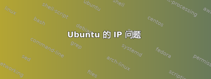 Ubuntu 的 IP 问题