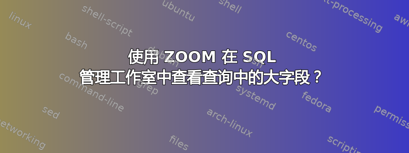 使用 ZOOM 在 SQL 管理工作室中查看查询中的大字段？