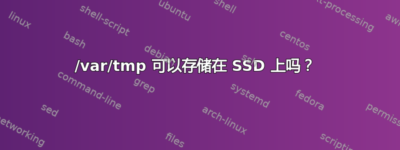 /var/tmp 可以存储在 SSD 上吗？ 