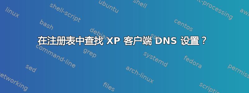 在注册表中查找 XP 客户端 DNS 设置？