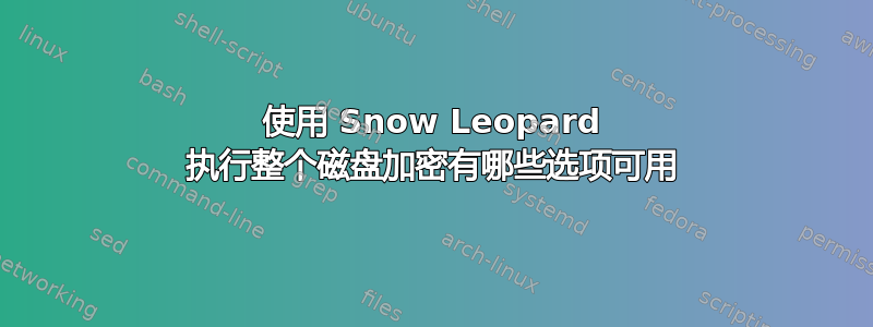 使用 Snow Leopard 执行整个磁盘加密有哪些选项可用