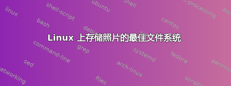 Linux 上存储照片的最佳文件系统