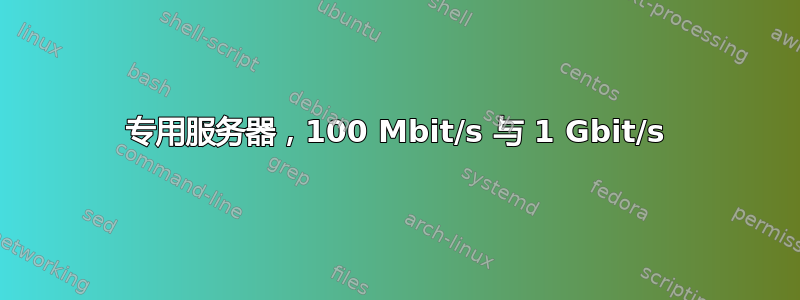 专用服务器，100 Mbit/s 与 1 Gbit/s