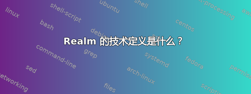 Realm 的技术定义是什么？