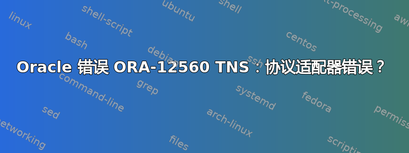 Oracle 错误 ORA-12560 TNS：协议适配器错误？