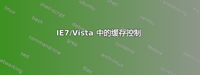 IE7/Vista 中的缓存控制