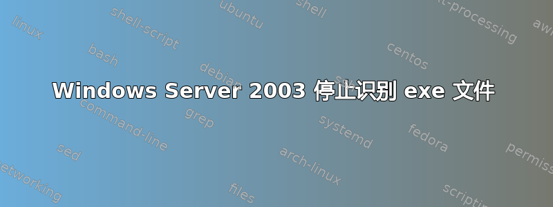 Windows Server 2003 停止识别 exe 文件