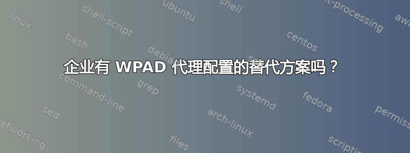 企业有 WPAD 代理配置的替代方案吗？