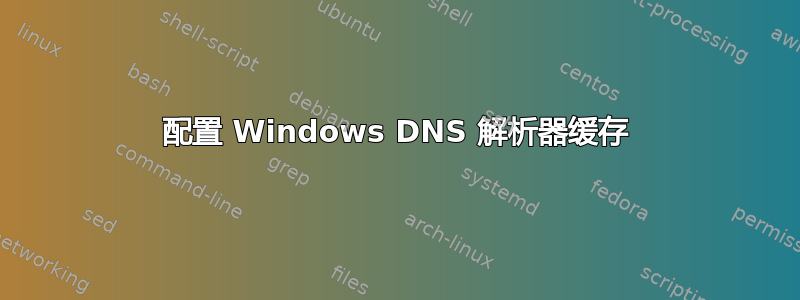 配置 Windows DNS 解析器缓存