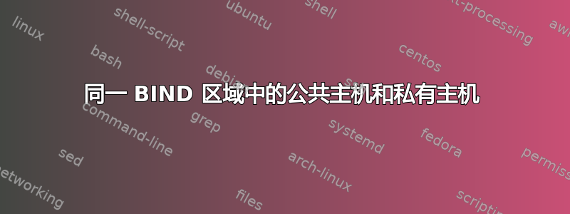 同一 BIND 区域中的公共主机和私有主机