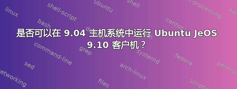 是否可以在 9.04 主机系统中运行 Ubuntu JeOS 9.10 客户机？