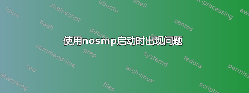 使用nosmp启动时出现问题