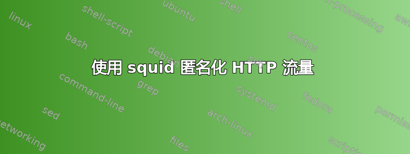 使用 squid 匿名化 HTTP 流量