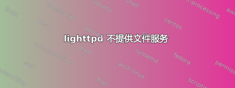 lighttpd 不提供文件服务