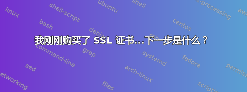 我刚刚购买了 SSL 证书...下一步是什么？