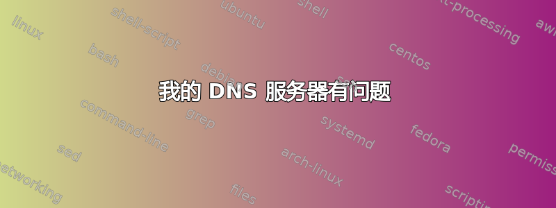 我的 DNS 服务器有问题