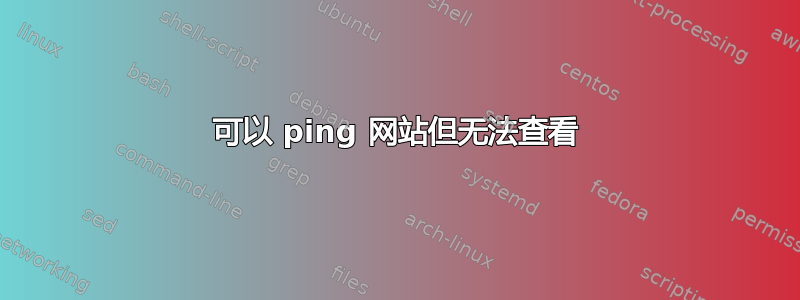 可以 ping 网站但无法查看