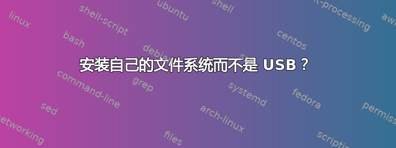 安装自己的文件系统而不是 USB？