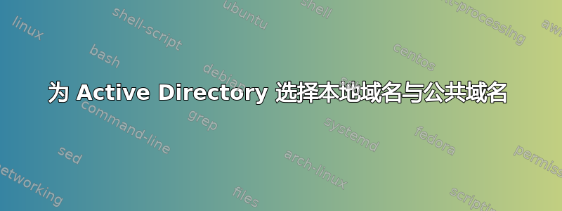 为 Active Directory 选择本地域名与公共域名