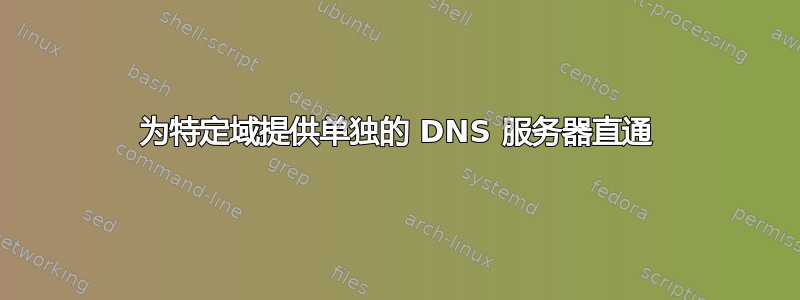 为特定域提供单独的 DNS 服务器直通