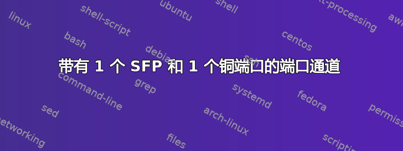 带有 1 个 SFP 和 1 个铜端口的端口通道