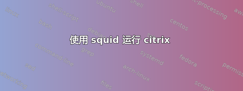 使用 squid 运行 citrix