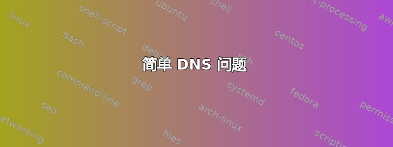 简单 DNS 问题