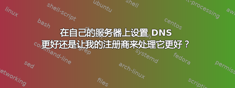 在自己的服务器上设置 DNS 更好还是让我的注册商来处理它更好？