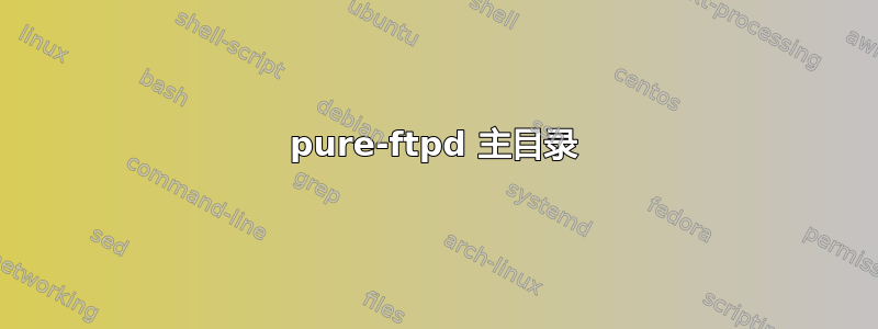 pure-ftpd 主目录