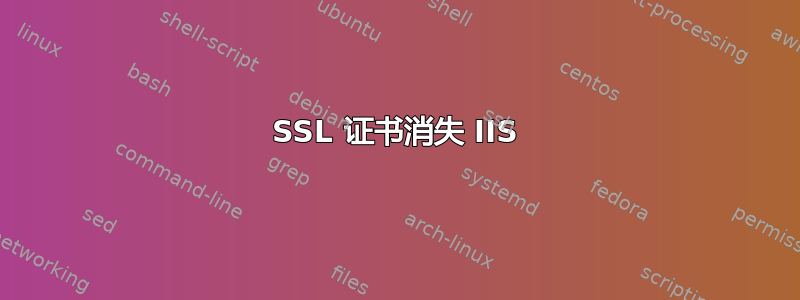 SSL 证书消失 IIS