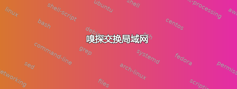 嗅探交换局域网