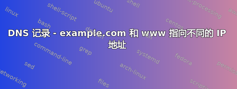 DNS 记录 - example.com 和 www 指向不同的 IP 地址