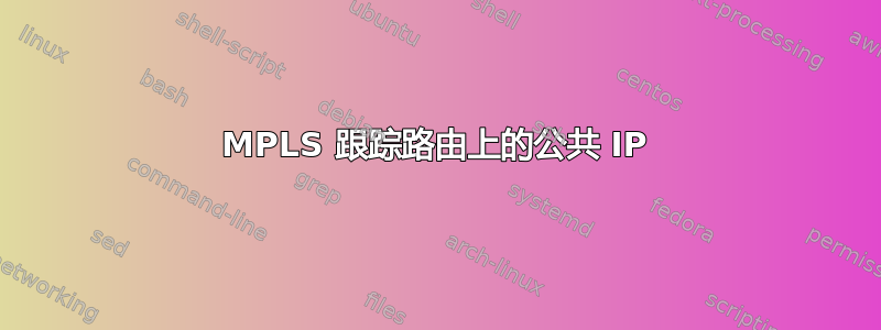 MPLS 跟踪路由上的公共 IP