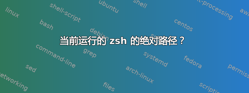 当前运行的 zsh 的绝对路径？