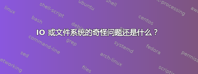 IO 或文件系统的奇怪问题还是什么？