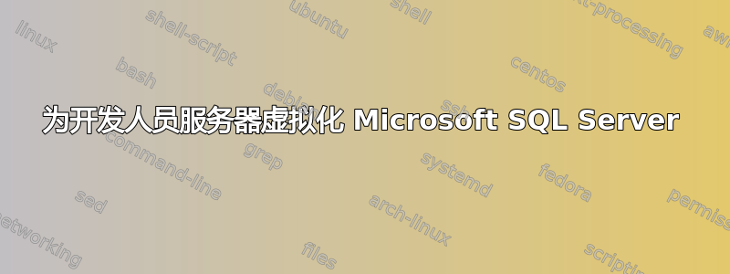 为开发人员服务器虚拟化 Microsoft SQL Server