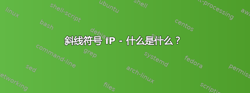 斜线符号 IP - 什么是什么？