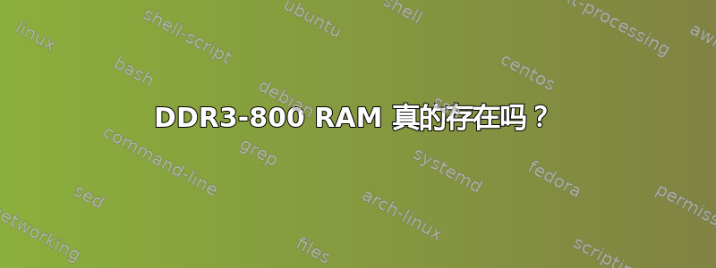 DDR3-800 RAM 真的存在吗？