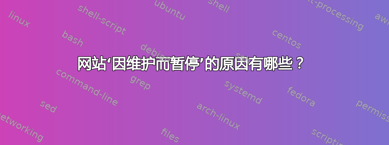 网站‘因维护而暂停’的原因有哪些？