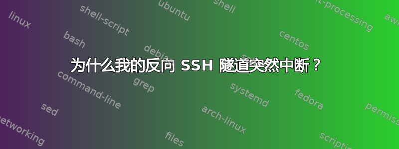 为什么我的反向 SSH 隧道突然中断？