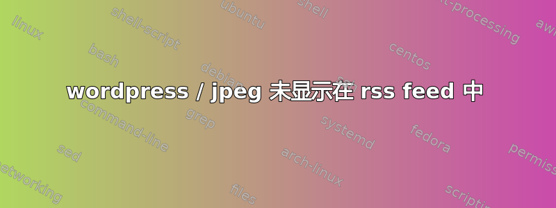 wordpress / jpeg 未显示在 rss feed 中