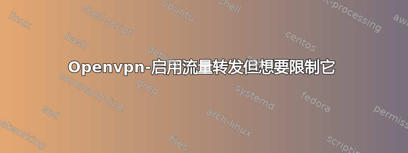 Openvpn-启用流量转发但想要限制它