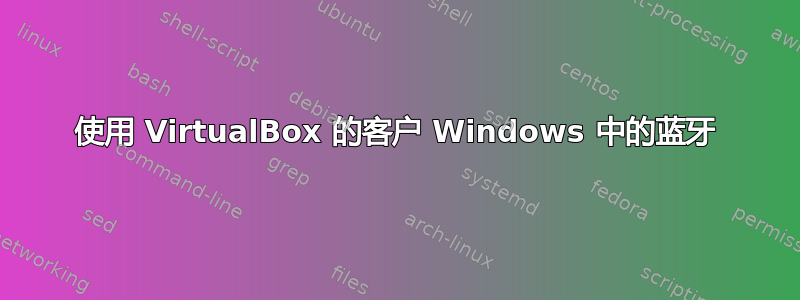 使用 VirtualBox 的客户 Windows 中的蓝牙