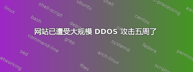 网站已遭受大规模 DDOS 攻击五周了