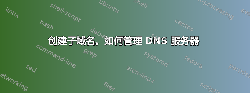 创建子域名。如何管理 DNS 服务器